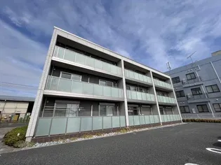 ラディーチェBの画像