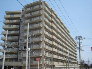 アパガーデンパレスなかしん一号館の画像