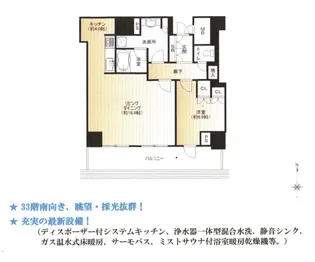 プレミストタワー大阪新町ローレルコート【33階】の間取り