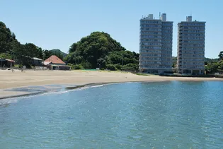 ダイアパレス内房勝山イーストタワー【7階】の外観