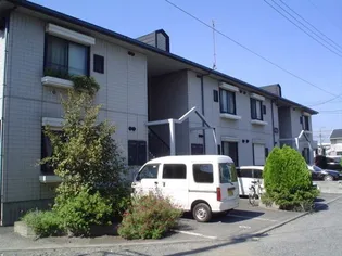 セルフィーユの画像