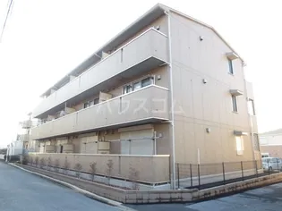 シトラスコートの画像