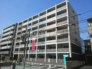 プリムローズ エレガントの画像