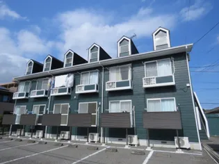 ヴェールの画像