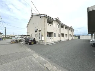 ベルチェリーYの画像