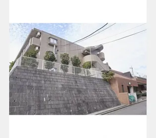 グレースオークの画像