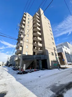 リバーライト菊水の画像