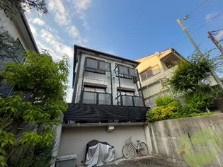 チェリ岡本の画像