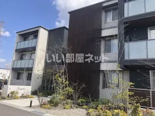 サングラリオの画像
