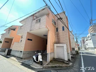 マリーゴールドの画像