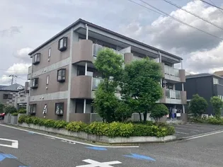 プラムNTの画像