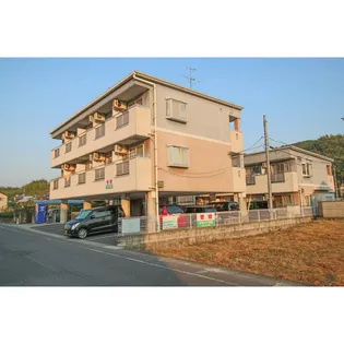 ツインズ土田 Bの画像