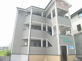 プチメゾンカレッジヒルの画像