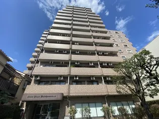 ライオンズプラザ本蓮沼【12階】の外観