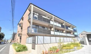 ピノコーダ カーサの画像