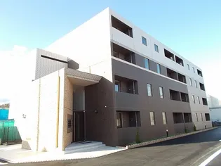 ソルトシャインの画像