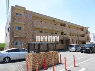 T フェアリートキワの画像