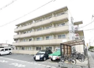 ミラドール今IIの画像