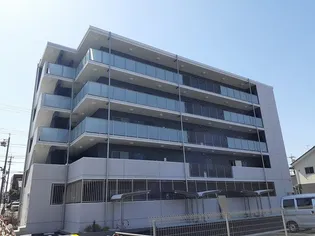 サマン ツリーの画像