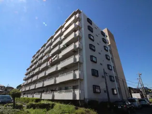 センターヒルズ21壱番館の画像