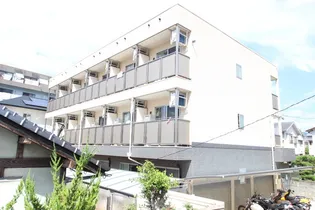 エストレビータの画像