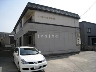 ハイセレールはまなすの画像