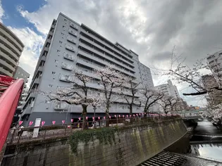 目黒ハイツ【8階】の外観