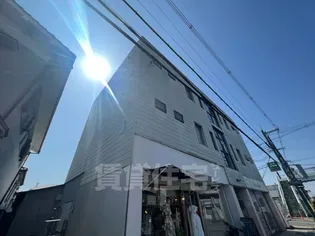 マナーステラの画像