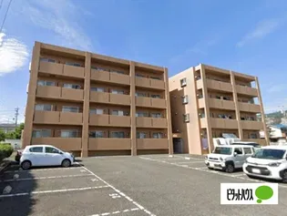 ヴィヴィッド桐の画像