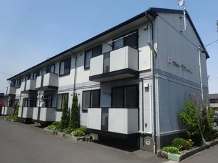 セジュールゼラニュームの画像