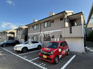 アンブレラトミナガBの画像