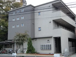 カサグランデの画像