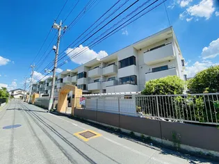 ピネハイブリッジの画像