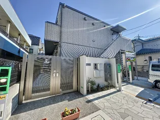 プラシードの画像