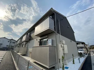 ブルーシェルの画像