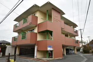 インポート久留米ルビーIの画像