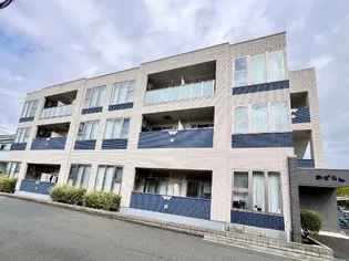 あざらしの画像