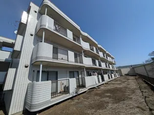 サリール立野の画像