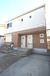 サンフラワーの画像