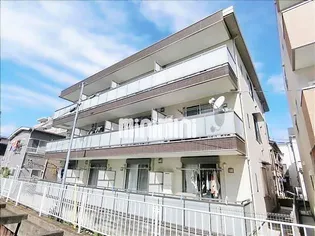 フェレス芝の画像