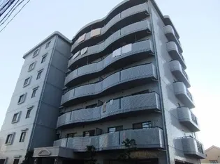 ドリーム菊水の画像