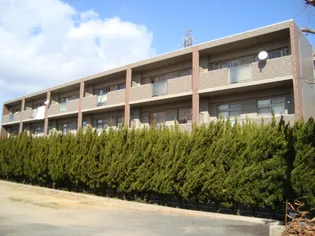 ルネスアニバーサリー【3階】の外観