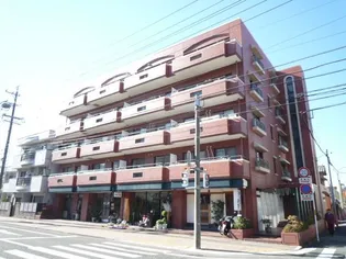 グランドパレス白鳥【4階】の外観