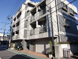 ファインコートSの画像