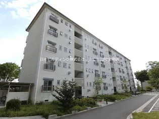 UR金剛団地 313号棟の画像