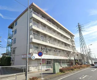 エルドラドの画像