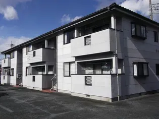 グレースマキの画像