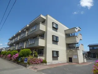 Y'Sコートの画像