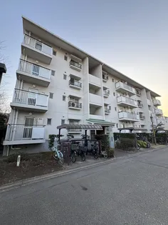 サニータウン茅ヶ崎8号棟の画像