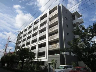 ALLIES MEADOWの画像